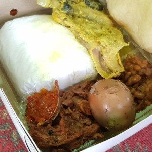 nasi box premium D