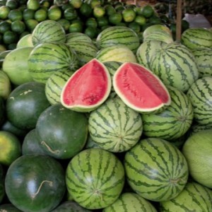 Buah Semangka Biji (Kg)