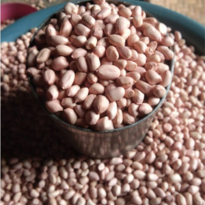 Benih Kacang Tanah Kemasan 1 Kg