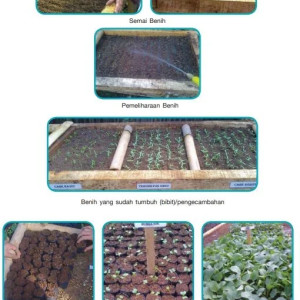 Paket Pelatihan Budidaya Sayuran