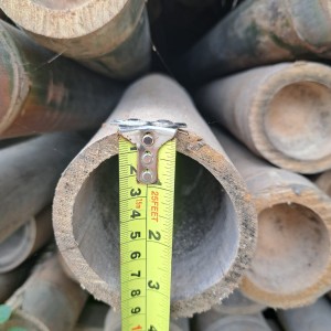 Bambu Petung Ø 8 - Ø 10 = 5 m