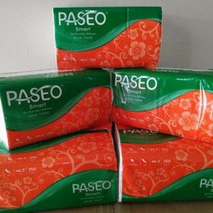 PASEO - TISSUE BESAR