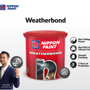 Cat Nippon Paint Weatherbound
