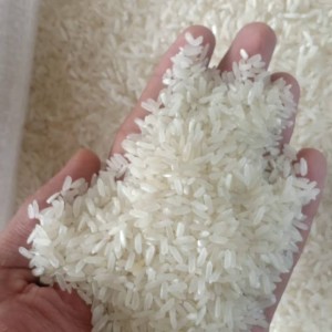 Beras eceran 12.000/kg