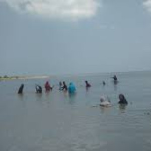 Jasa event Organizer