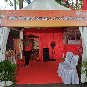 Facial header all in