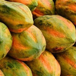 BUAH PEPAYA