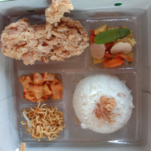 nasi kotak