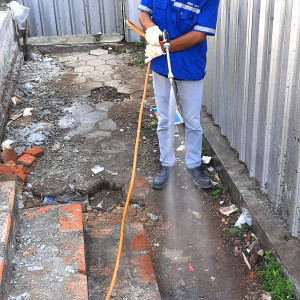 JASA PEST CONTROL ( PENGENDALIAN SERANGGA DAN TIKUS )