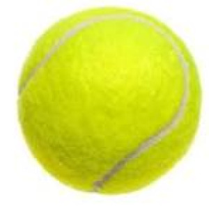 bola tennis lapangan merek nassau