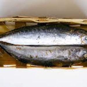 iKAN BANDENG PRESTO 2