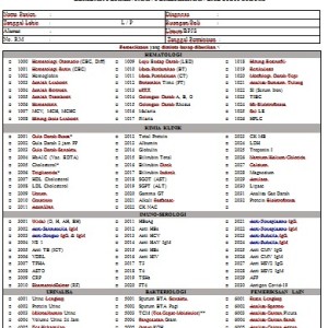 Formulir Lembar Permintaan Pemeriksaan Lab