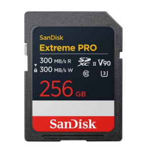 SD Card / Memory Kapasitas 256 gb Sandisk