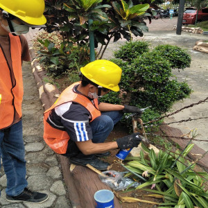Jasa Pemasangan & Perawatan Penyalur Petir