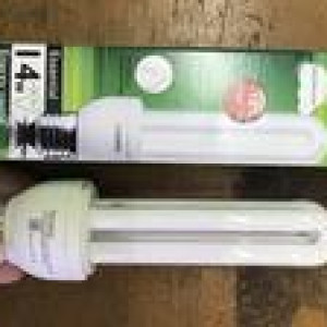 Philips Lampu Essential 14W 14watt 14 Watt 14 W HEMAT ENERGI