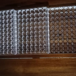 plat WHO acrylic 80 hole