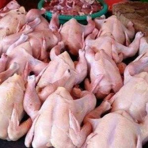 Daging Ayam (Kg)