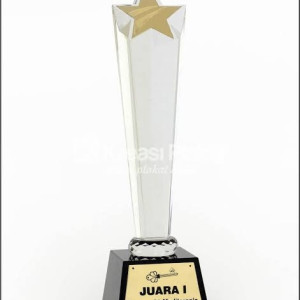 Piala Custom Sedang