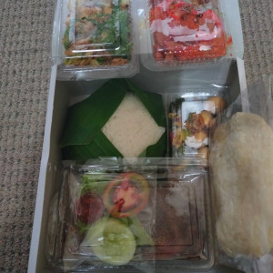 Paket nasi kotak 2