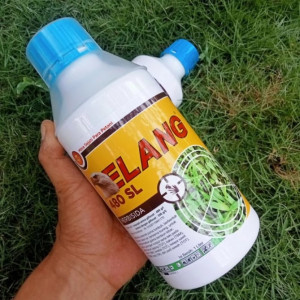 Herbisida - Elang 480 SL Isi 1 Liter