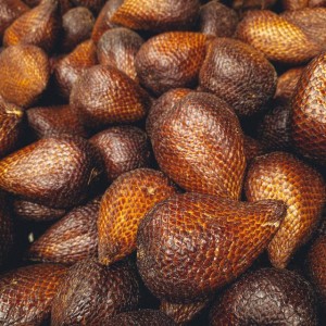 Buah Salak Pondoh