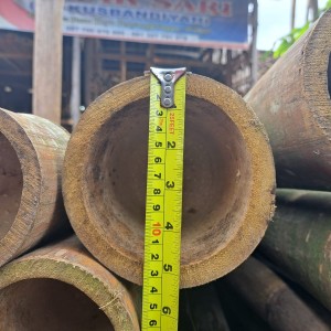 Bambu Petung Ø 10 - Ø 15 = 5 m