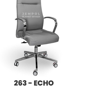 Kursi 263 Echo
