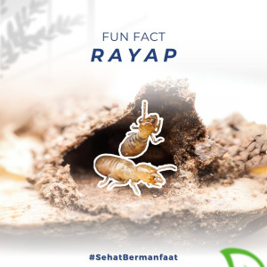 JASA PEMBERSIH PENGENDALIAN HAMA RAYAP