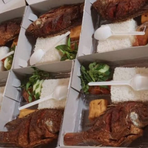 paket nasi dus (ayam)