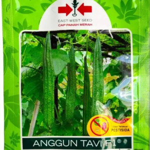 Benih Oyong Gambas F1 SP