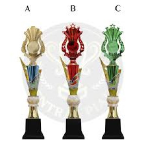 PIALA KEJUARAAN