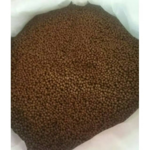 Pakan benih lele ukuran 1 mm