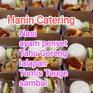 nasi kotak ayam penyet