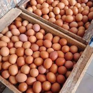 6) TELUR AYAM RAS PER 1 KILOGRAM