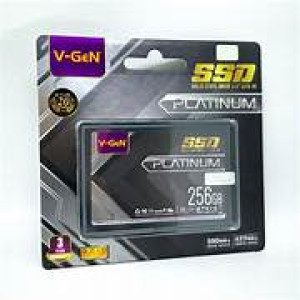 SSD 256 GB PLATINUM V GEN