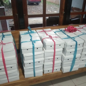 Nasi Box Murah dan Enak