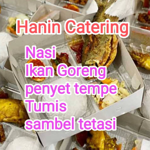 nasi kotak ikan goreng