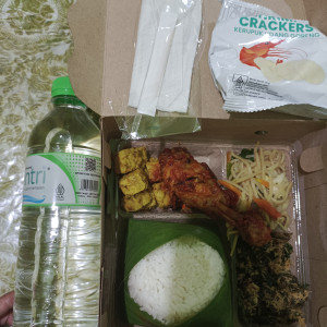 Nasi Kotak C