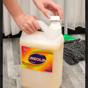 Creolin 5 Liter