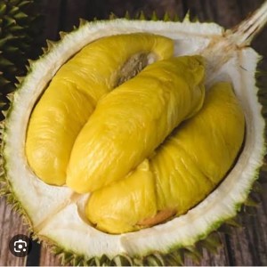 Durian Musangking