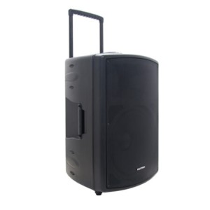 POLYTRON Professional Speaker Portable 12 Inch PAS PRO12F