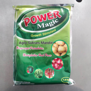 Power Magic 1 Kg