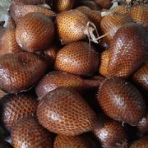 BUAH SALAK
