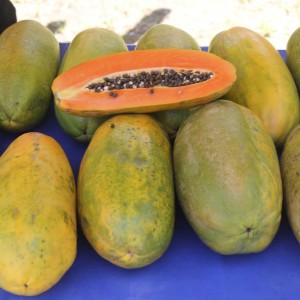 Buah Pepaya/Kates/Gandul (Kg)