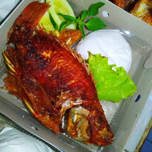 Paket Nasi Nila Bakar