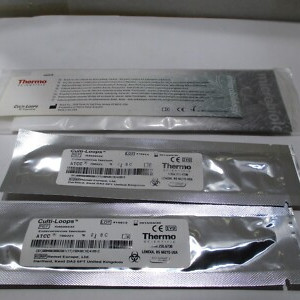 ATCC 6633 Bacillus spizizenii Thermo fisher