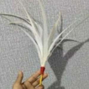 Accecoris Marching Band kelompok Bellira