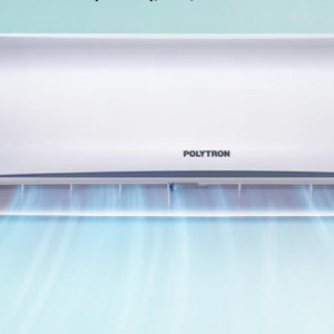 Polytron AC Deluxe2 1 PK PAC 09VH