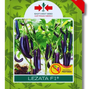 Benih Terong Ungu Lezata F1
