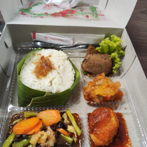 Nasi box 1